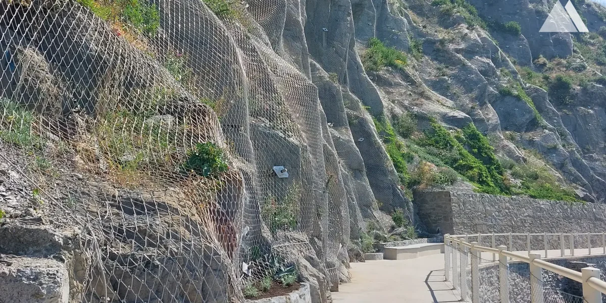 Active Slope Protection Net product detail photo showing the actual product and application