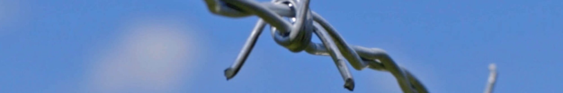 Barbed Wire product photo showing the product structure