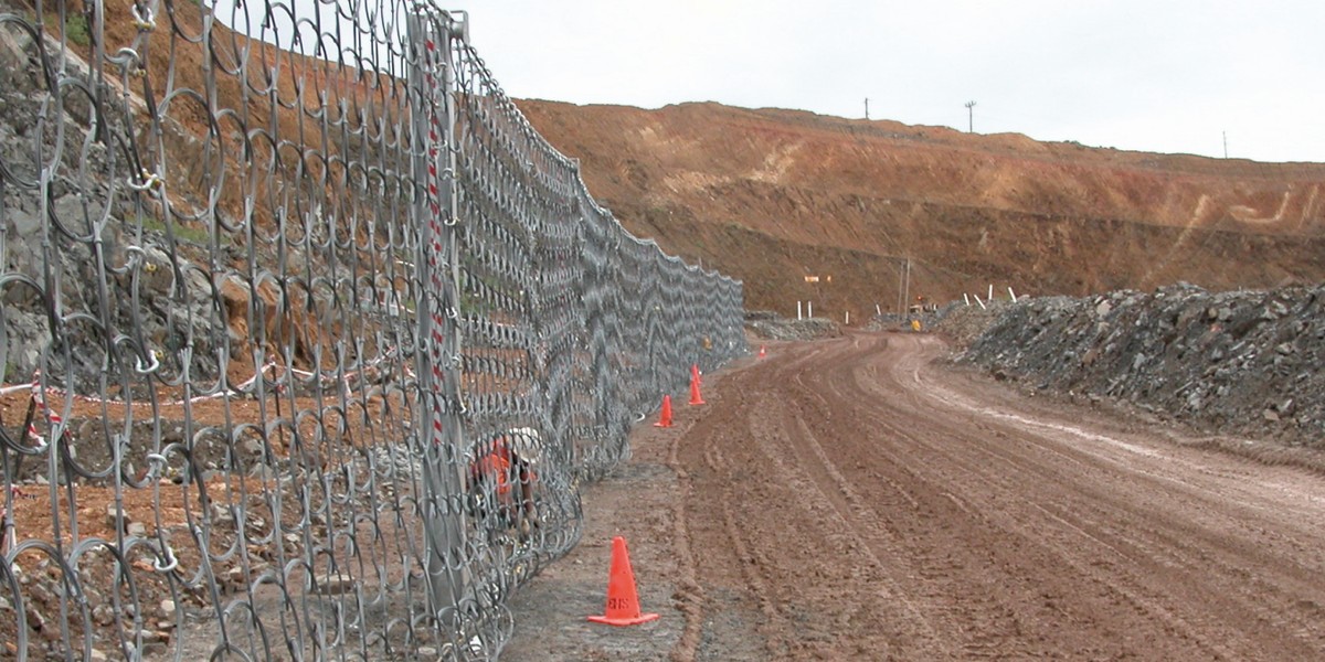 Ring Net product image showing structure and appearance