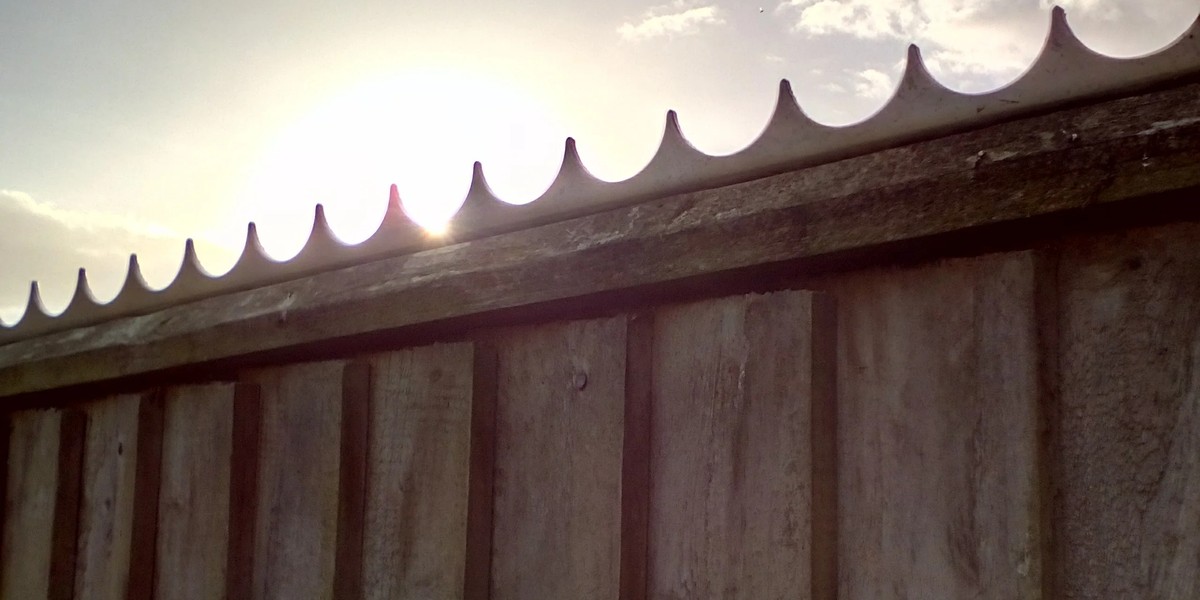 Wall Spike product image showing structure and appearance